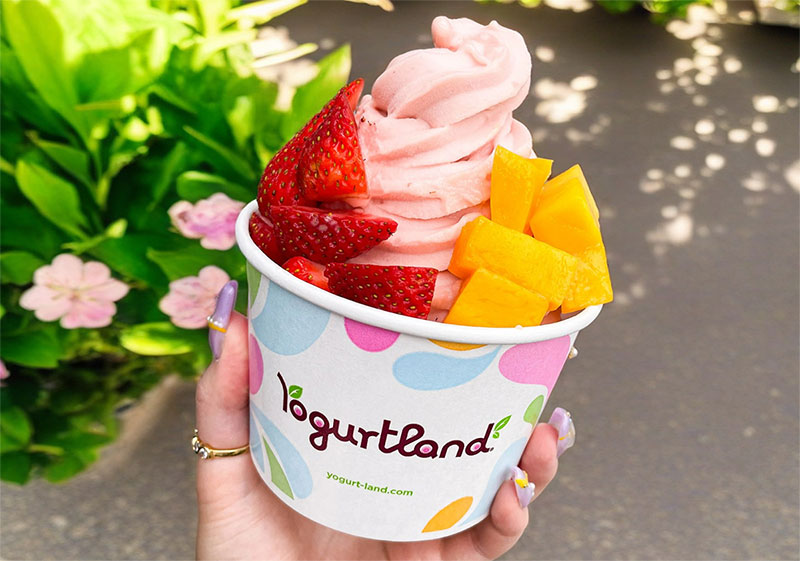 Yogurtland Home