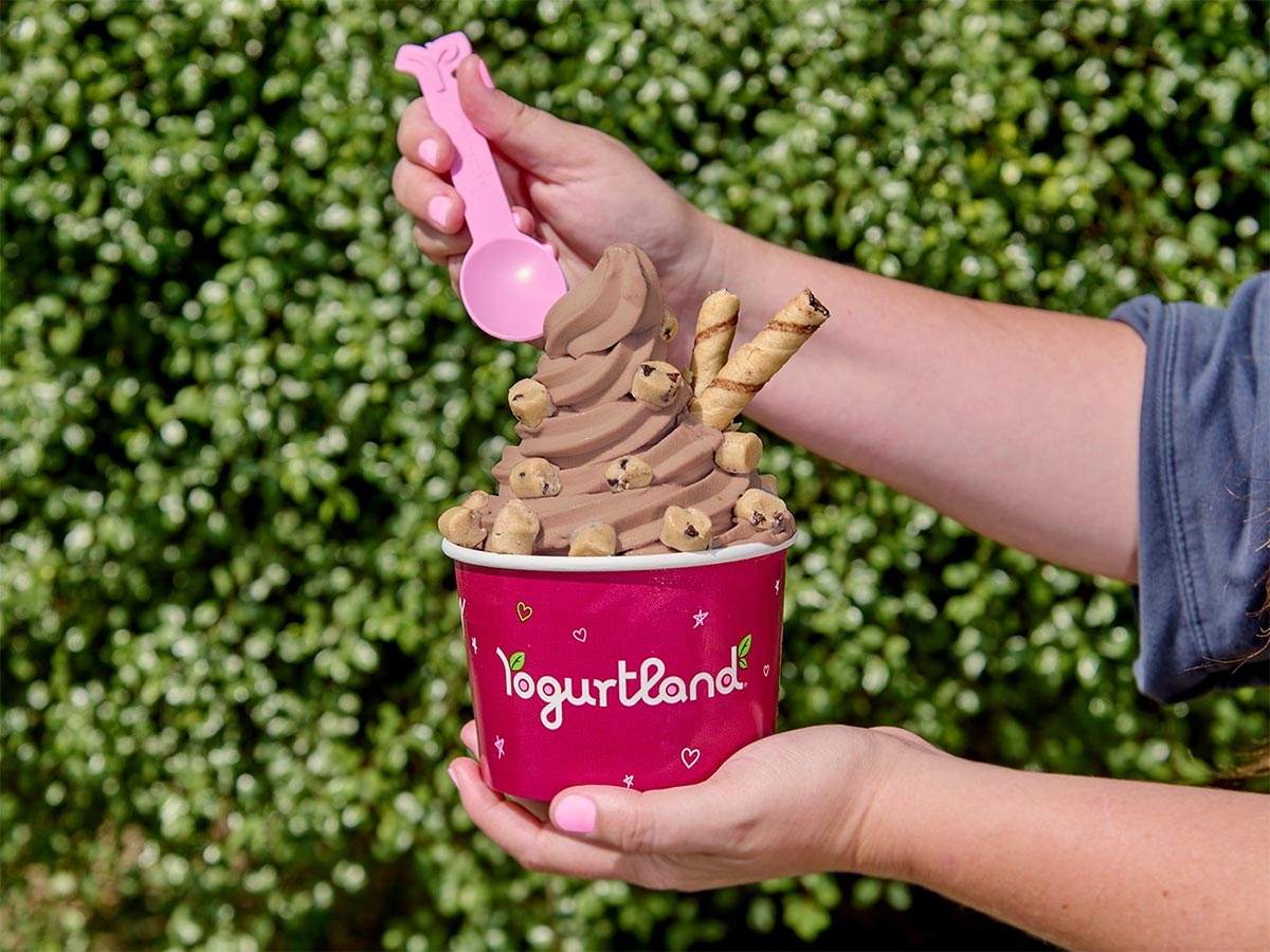 Yogurtland frozen yogurt with various toppings